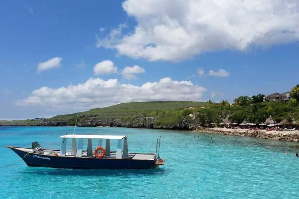 Villadelsol-Ocean Front Resort-Pool-Up To 8 Guests-Walk To The Beach Willibrordus 0*,  Curacao
