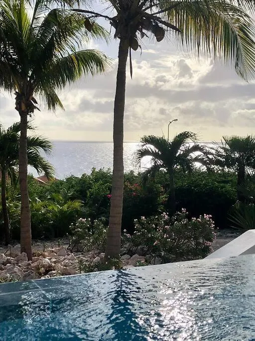 Villadelsol-Ocean Front Resort-Pool-Up To 8 Guests-Walk To The Beach Willibrordus Villa