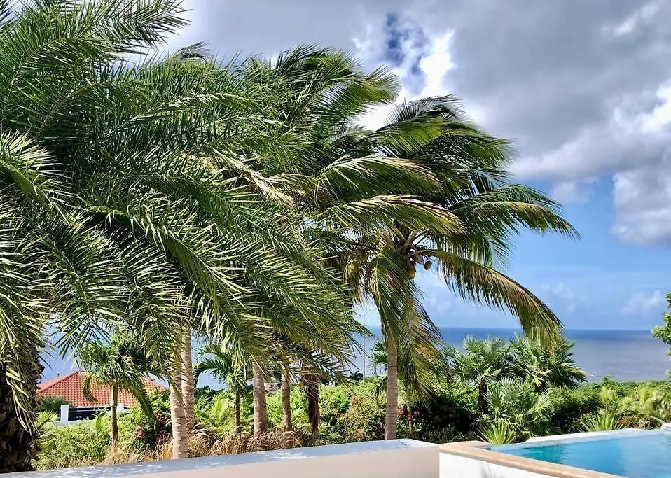 Villadelsol-Ocean Front Resort-Pool-Up To 8 Guests-Walk To The Beach Willibrordus
