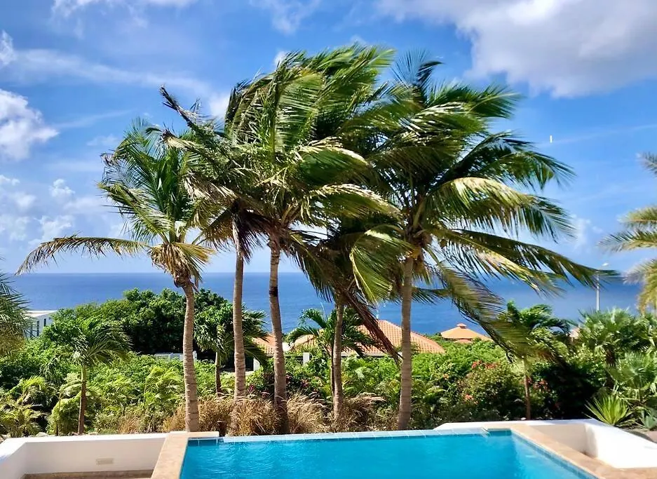 Villadelsol-Ocean Front Resort-Pool-Up To 8 Guests-Walk To The Beach Willibrordus