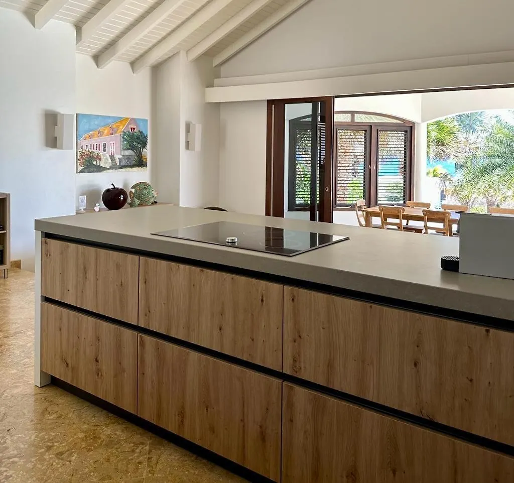 Villadelsol-Ocean Front Resort-Pool-Up To 8 Guests-Walk To The Beach Willibrordus Villa
