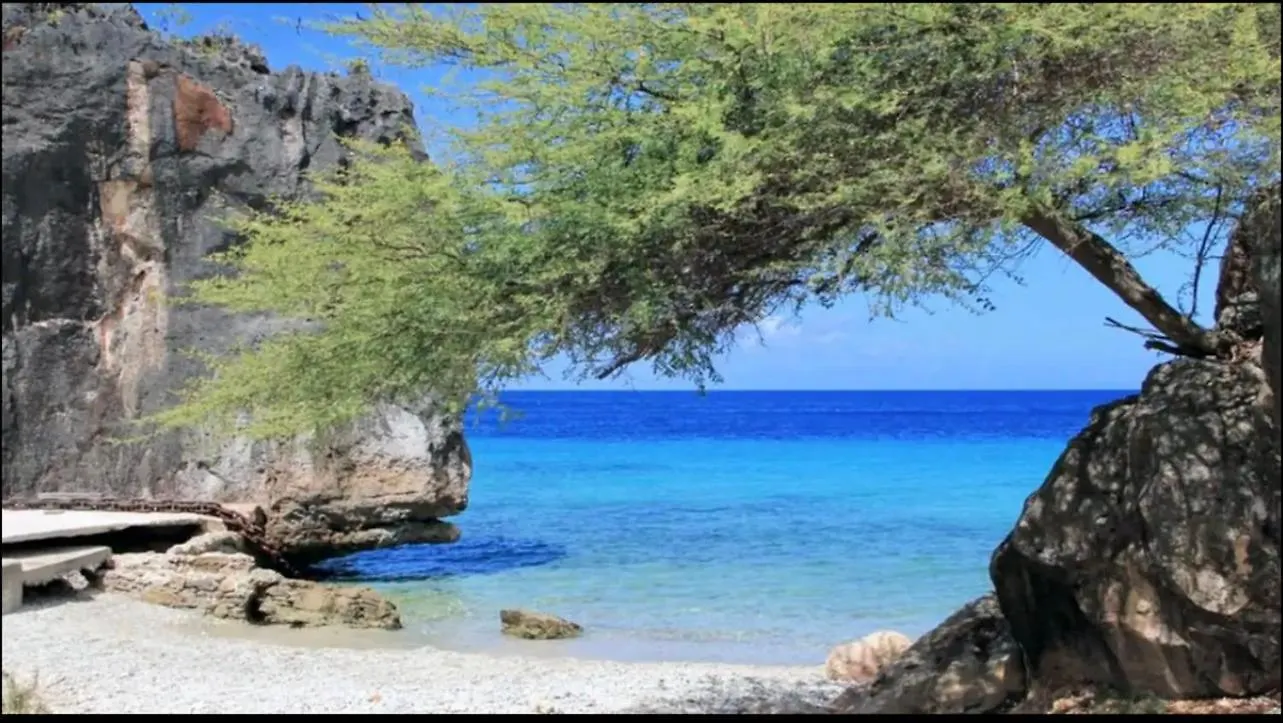 Villadelsol-Ocean Front Resort-Pool-Up To 8 Guests-Walk To The Beach Willibrordus